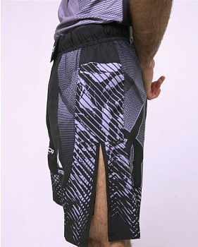 Шорты I Am Fighter ACA mma серые