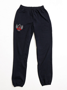 Спортивные штаны ФБ России т.синии 5.0