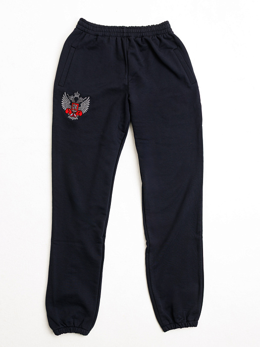 Спортивные штаны ФБ России т.синии 5.0