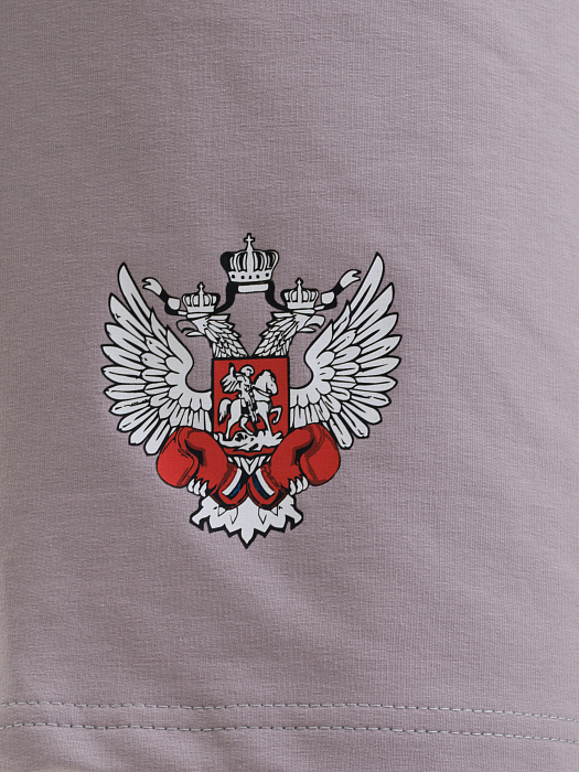 Комплект Футболка+Шорты ФБ России (белый-серый)