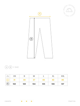 Спортивные штаны Manto FIGHT COMPANY gray