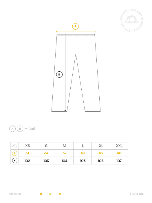 Спортивные штаны Manto FIGHT COMPANY gray