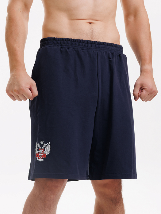 Комплект Футболка+Шорты ФБ России (голубая-синий)