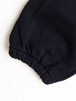 Спортивные штаны ФБ России т.синии 5.0