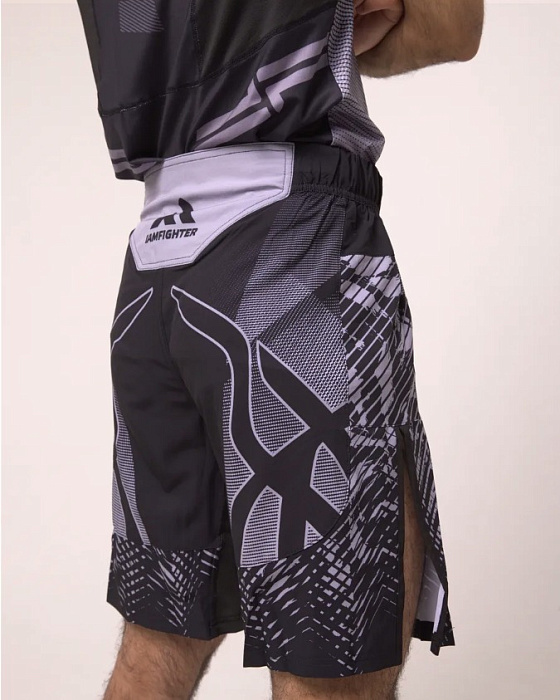 Шорты I Am Fighter ACA mma серые