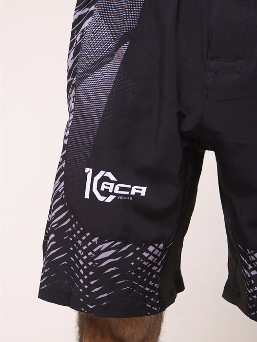 Шорты I Am Fighter ACA mma серые