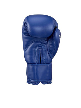 BGR-2272 Боксерские перчатки REX синие