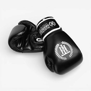 Боксерские перчатки Hardcore Training Base PU Black