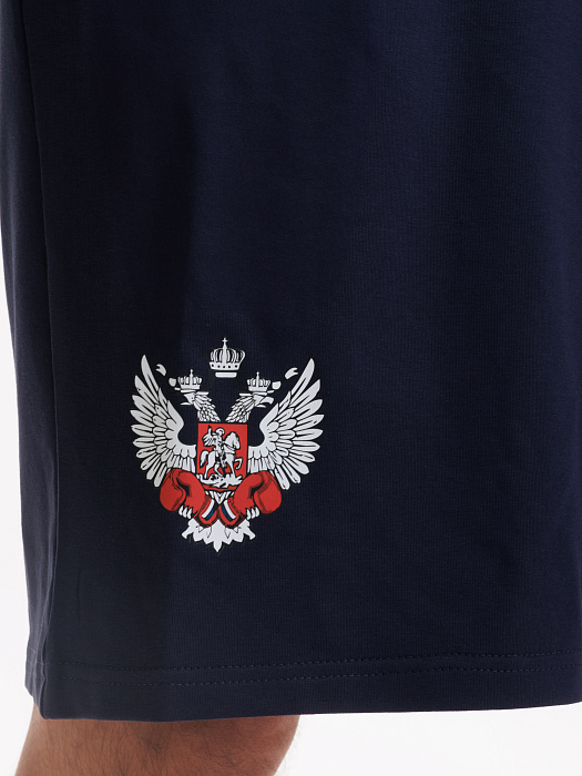 Комплект Футболка+Шорты ФБ России (голубая-синий)