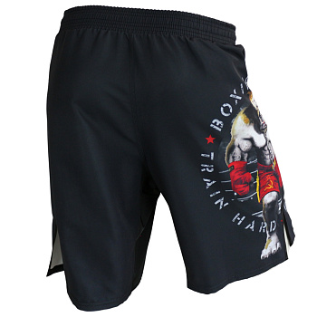 Шорты для MMA BoyBo Bulldog, детские 