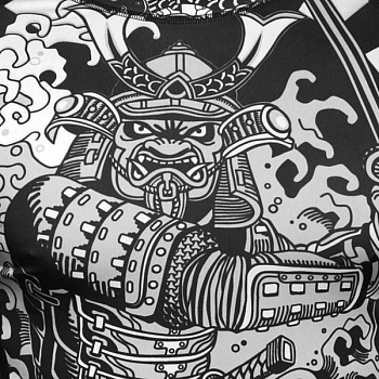 РАШГАРД HARDCORE TRAINING KOI 2.0