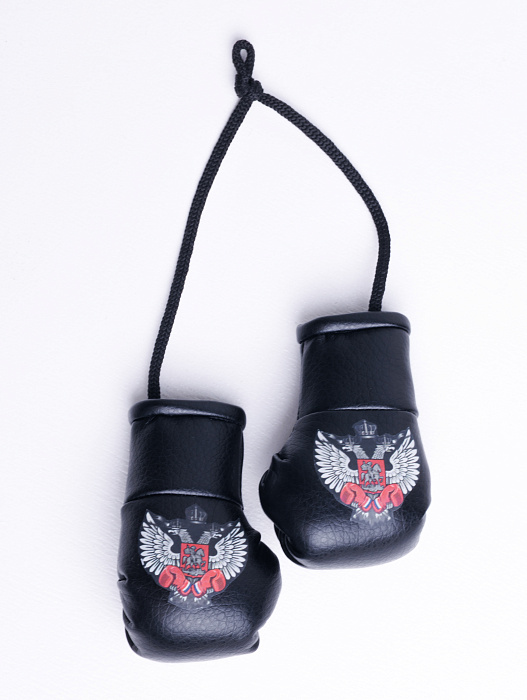 Сувенирные перчатки черные ФБ РОССИИ