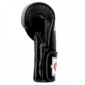 BGV5 Боксерские перчатки Fairtex Black/Red