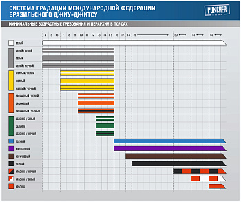 adiBJJB-C Adidas Пояс для джиу-джитсу Club фиолетовый