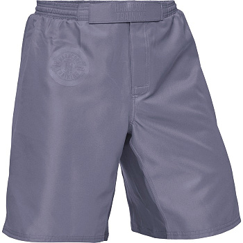 Шорты Hardcore Training Base Gray