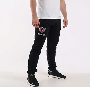 Штаны спортивные Вышивка ФБ РТ черные