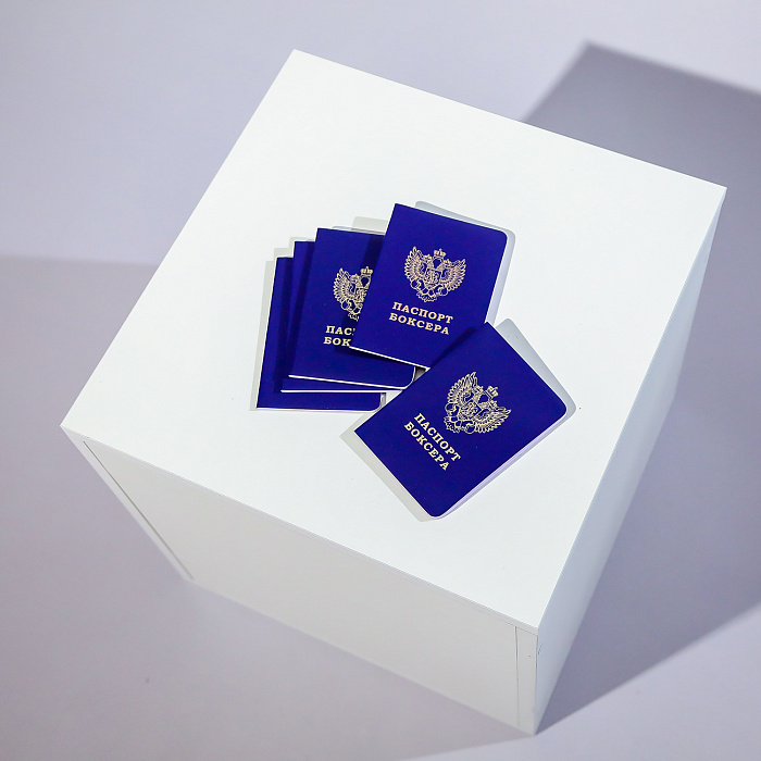 Паспорт боксера 