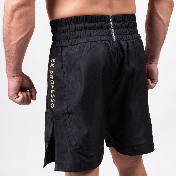 Шорты боксерские FIGHTEXPERT Classic Boxing Черный