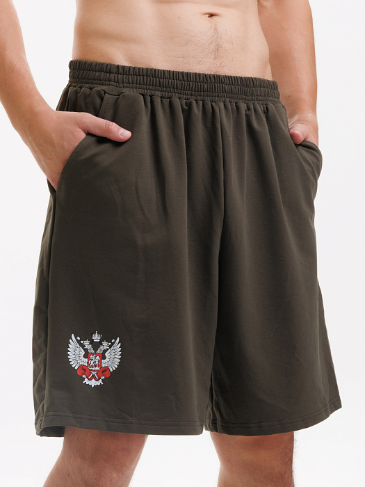 Комплект Футболка+Шорты ФБ России (пломбир-хаки)