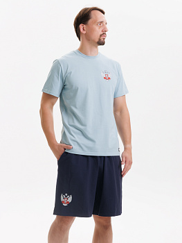 Комплект Футболка+Шорты ФБ России (голубая-синий)