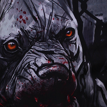 Детские шорты Hardcore Training PitbullCity