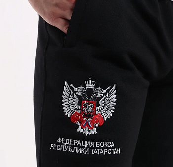Штаны спортивные Вышивка ФБ РТ черные