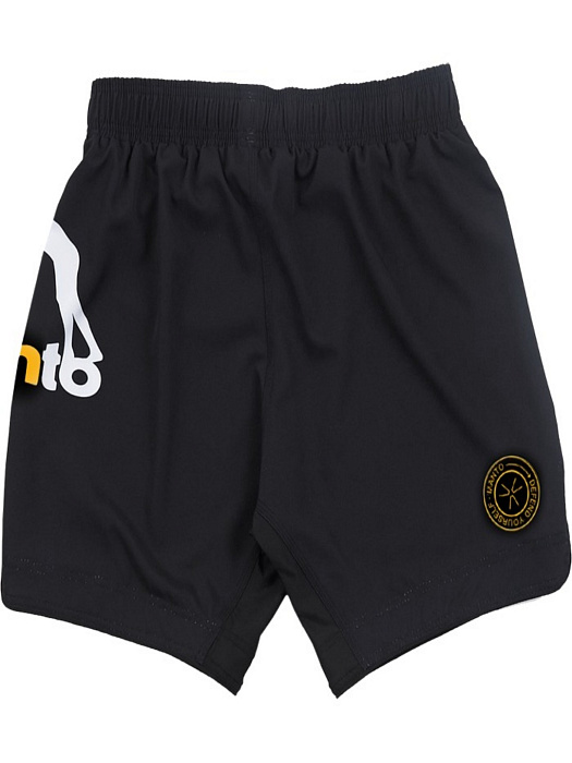 Шорты Manto Essential 2.0