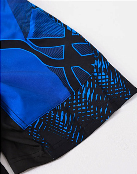 Шорты I Am Fighter ACA mma синие