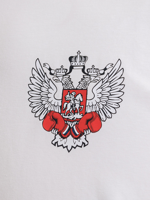 Комплект Футболка+Шорты ФБ России (пломбир-хаки)