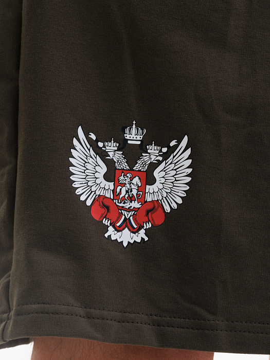 Комплект Футболка+Шорты ФБ России (пломбир-хаки)