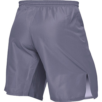 Шорты Hardcore Training Base Gray