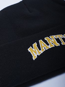 Шапка MANTO VARSITY black