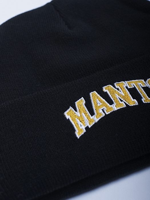 Шапка MANTO VARSITY black