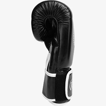 Боксерские перчатки Hardcore Training Base PU Black