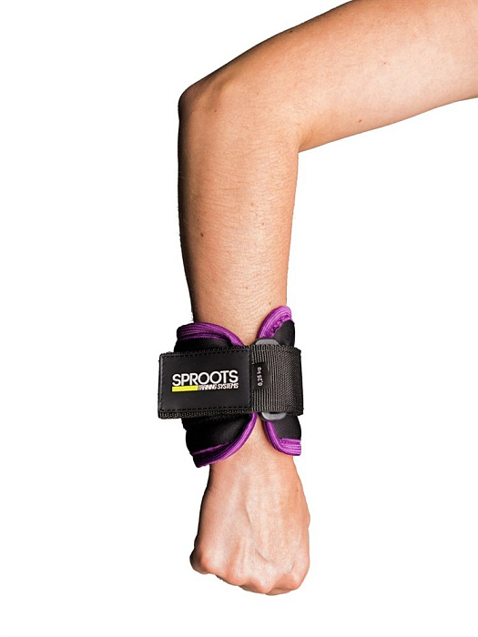 Утяжелители SPR 2 шт по 0,25 кг