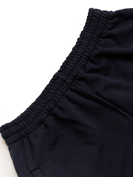 Спортивные штаны ФБ России т.синии 5.0