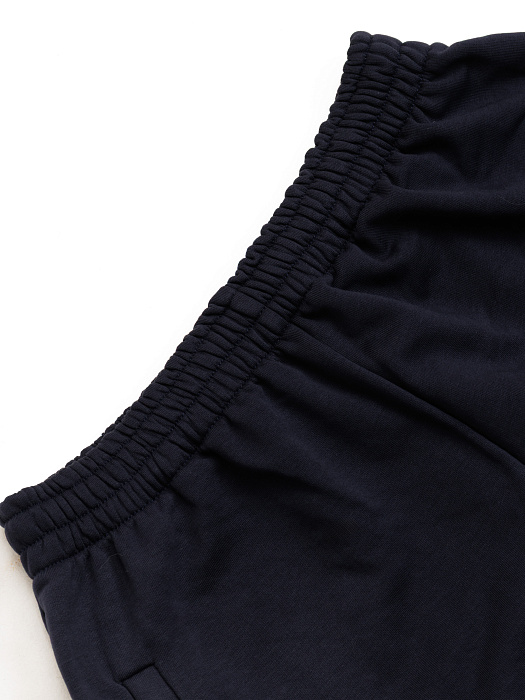 Спортивные штаны ФБ России т.синии 5.0