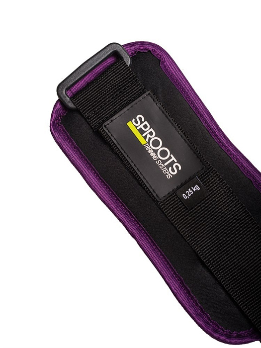 Утяжелители SPR 2 шт по 0,25 кг