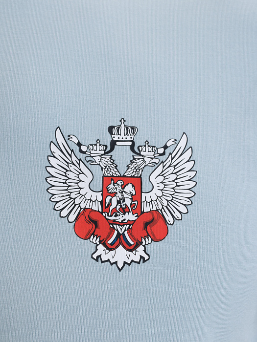 Комплект Футболка+Шорты ФБ России (голубая-синий)