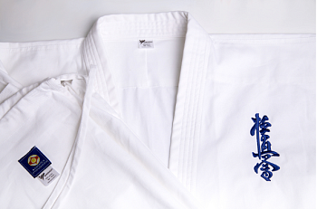 Доги BFS - KYOKUSHINKAI / Medium Без Ичигеки