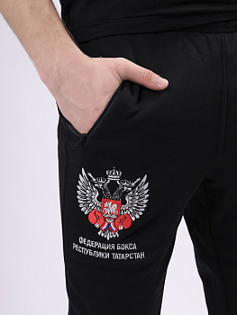 Спортивные штаны ФБ РТ 3.0 черный