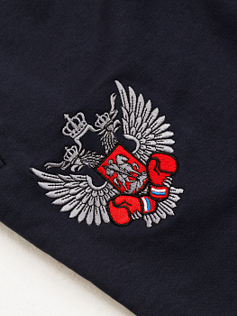 Спортивные штаны ФБ России т.синии 5.0