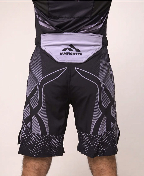 Шорты I Am Fighter ACA mma серые